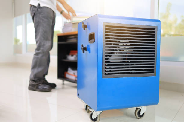 Best Dehumidification Services  in USA